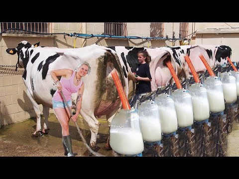 QUANTUM FARMING: AI-Powered Cows Producing SUPERFOOD Milk 🧬🥛 | 2025 BREAKTHROUGH